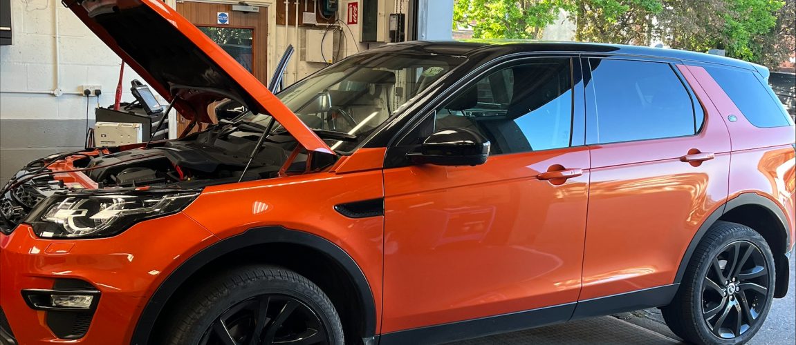 processed-B54C481D-F70E-4980-A7AB-E44FA70199C2-E899AEFB-12A2-40F0-8D6F-33148E15B686